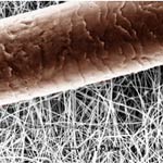 Ein menschliches Haar hat etwa einen Durchmesser von 80 000 nm