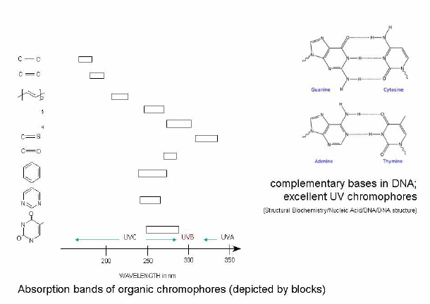 Chromophores and their absorption bands (adapted from Jagger 1967)