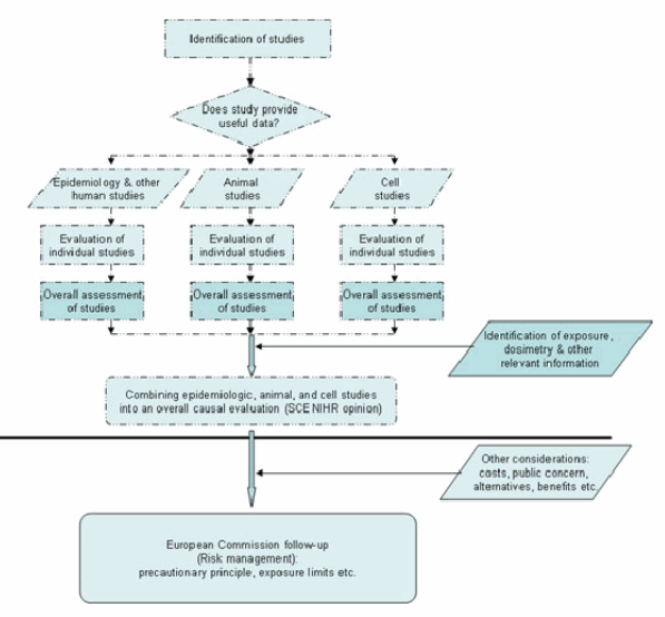 How To Present A Flow Chart