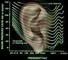 Low and high-pitched sounds appear less loud to the human ear