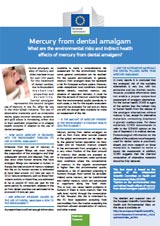 Mercury from dental amalgam foldout